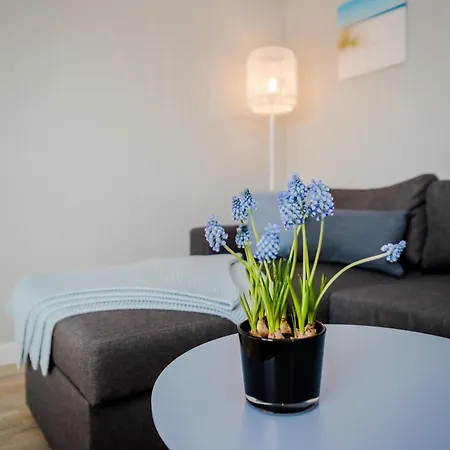 Moewennest Апартаменты *